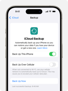 iPhone data backup settings